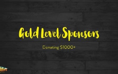 GOLD LEVEL SPONSORSHIPS – Winshape Camp Gaffney 2016